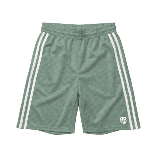 Antetokounbros Ανδρικό σορτς AB Basketball Shorts